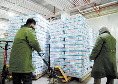 Latest company Solutions about হিমাগার